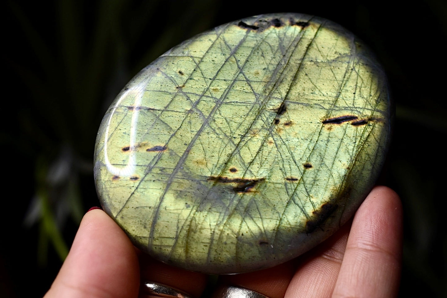 Labradorite Palm Stone