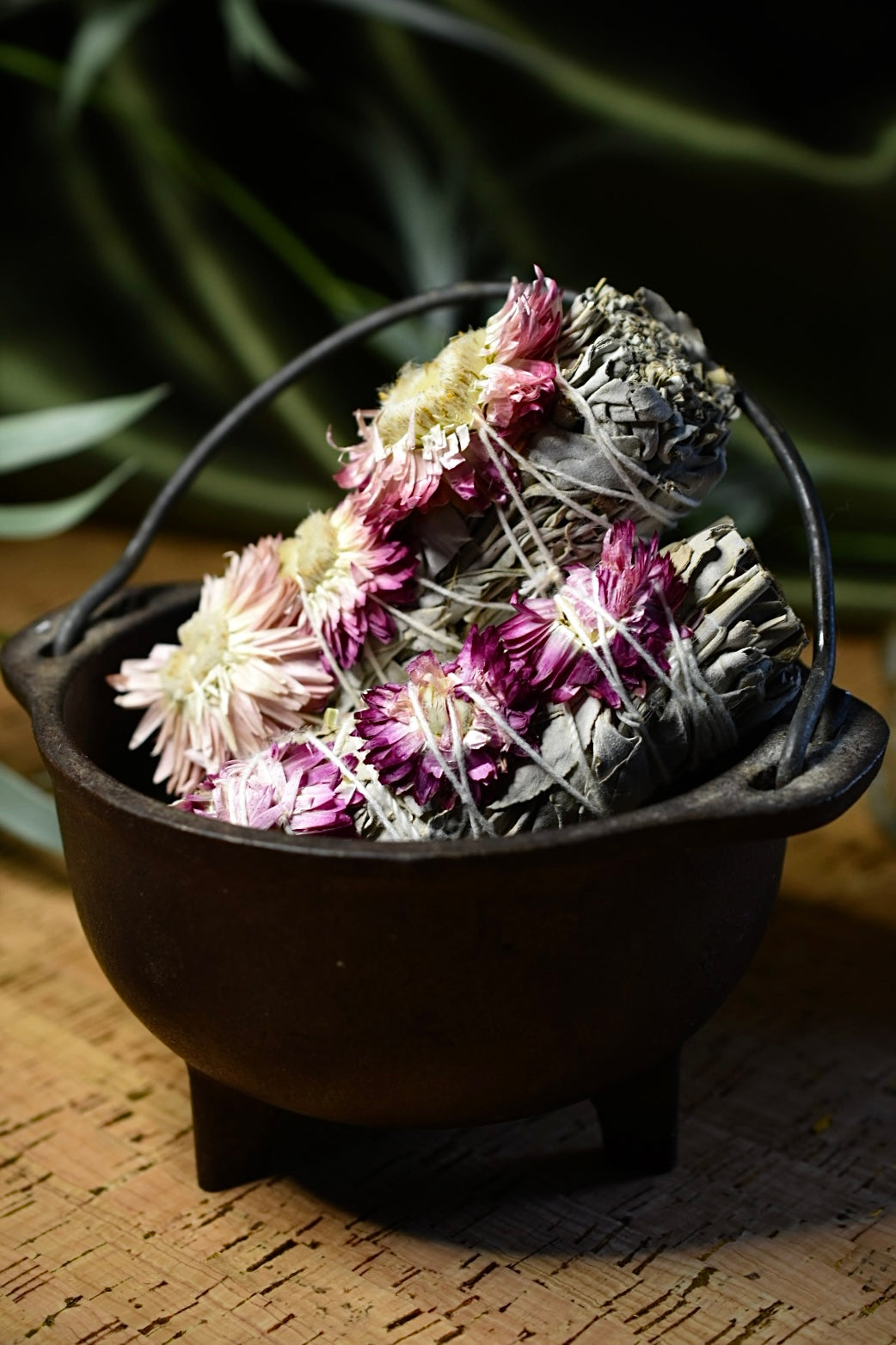 Strawflower Sage
