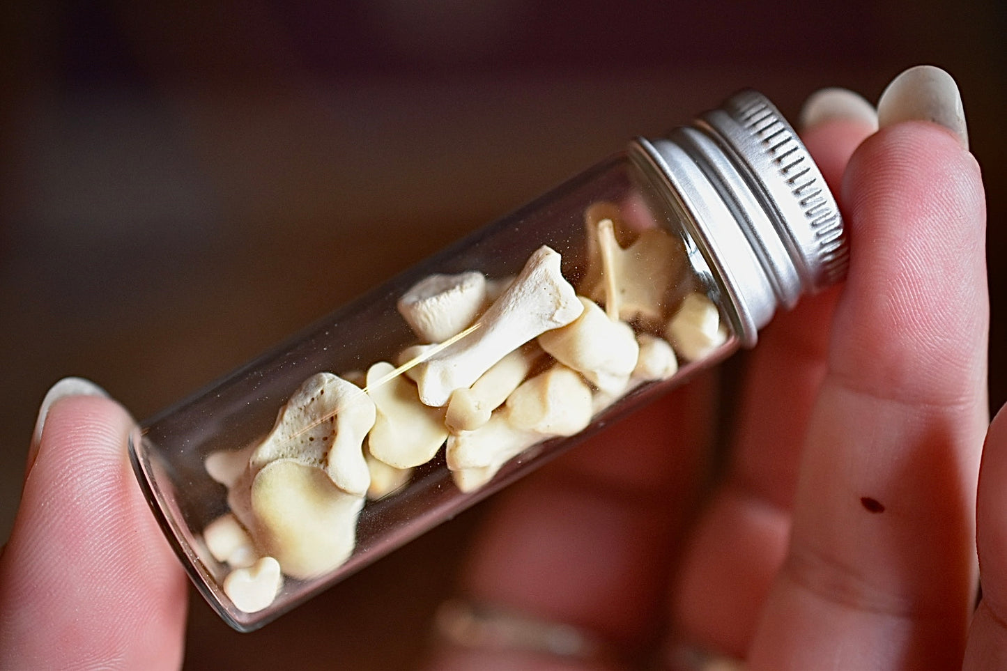 Bottle of Bones Curio