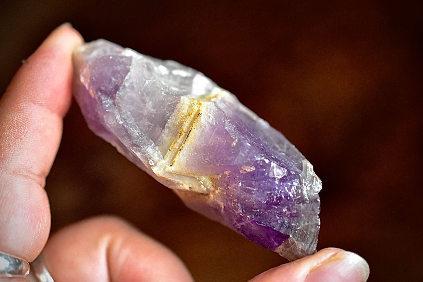 Thunder Bay Amethyst Root