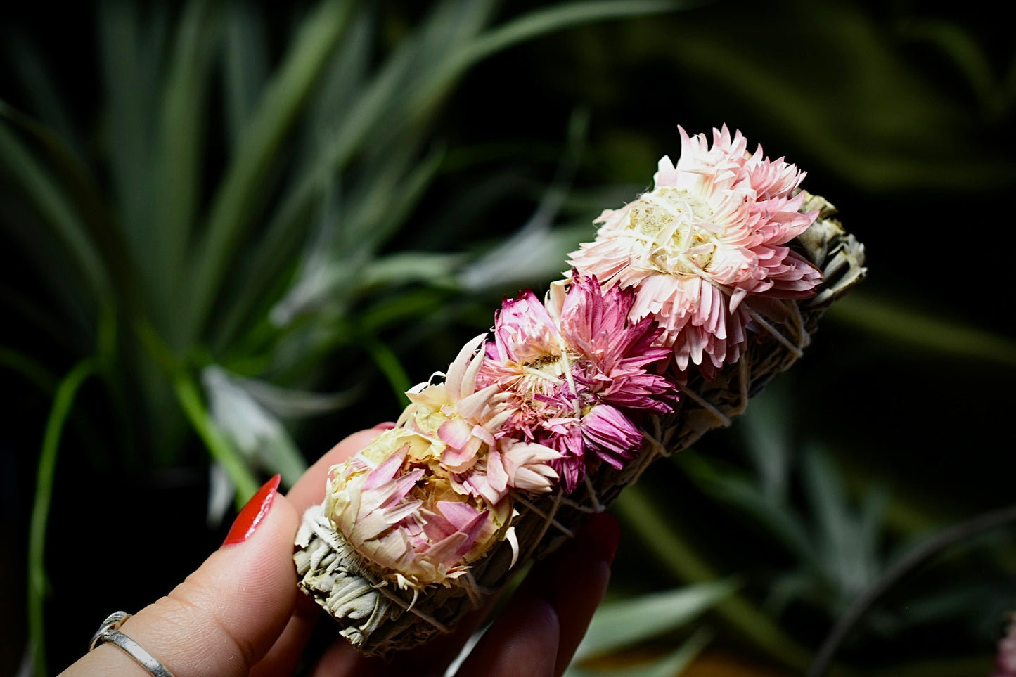 Strawflower Sage