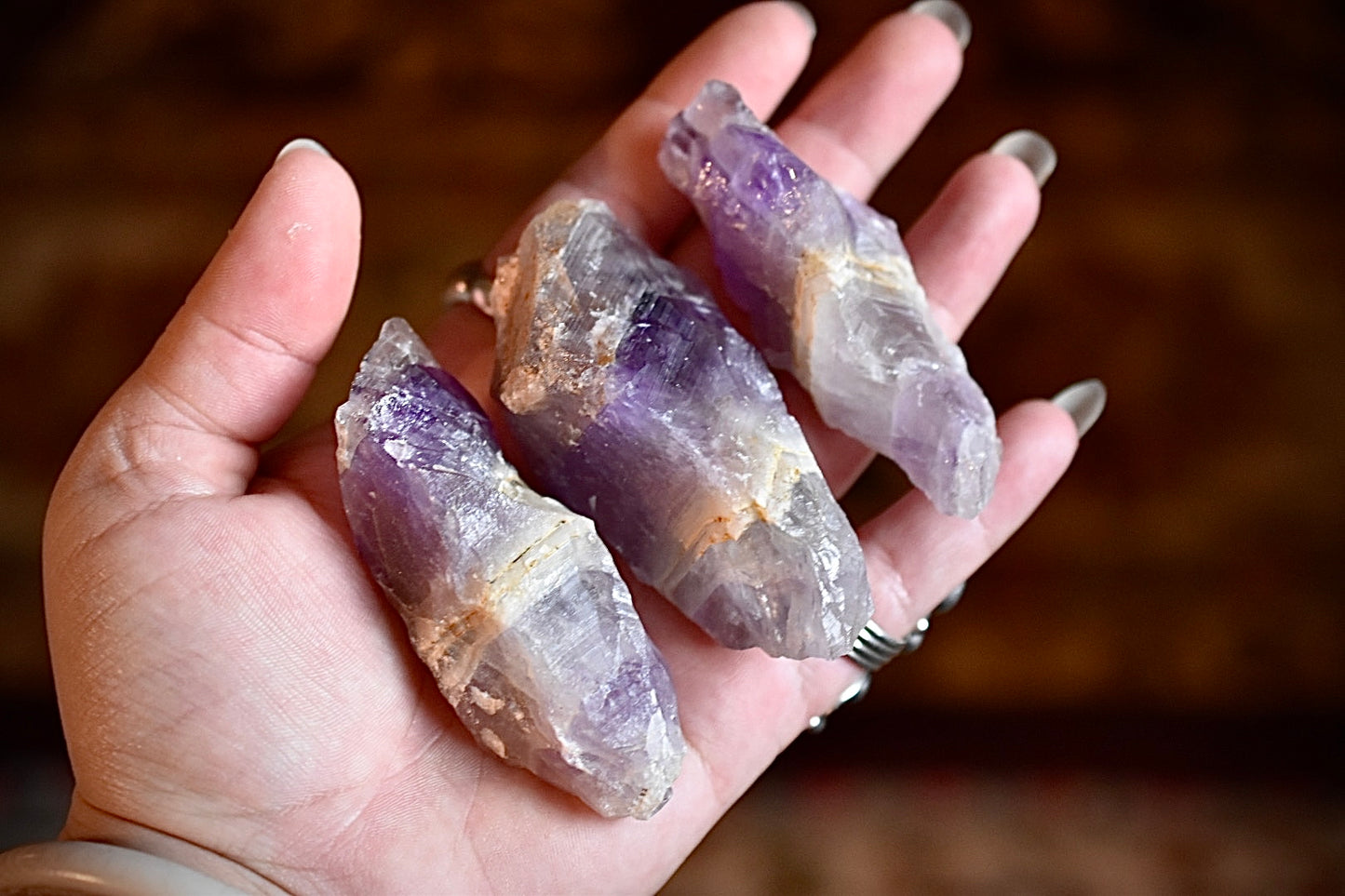 Thunder Bay Amethyst Root