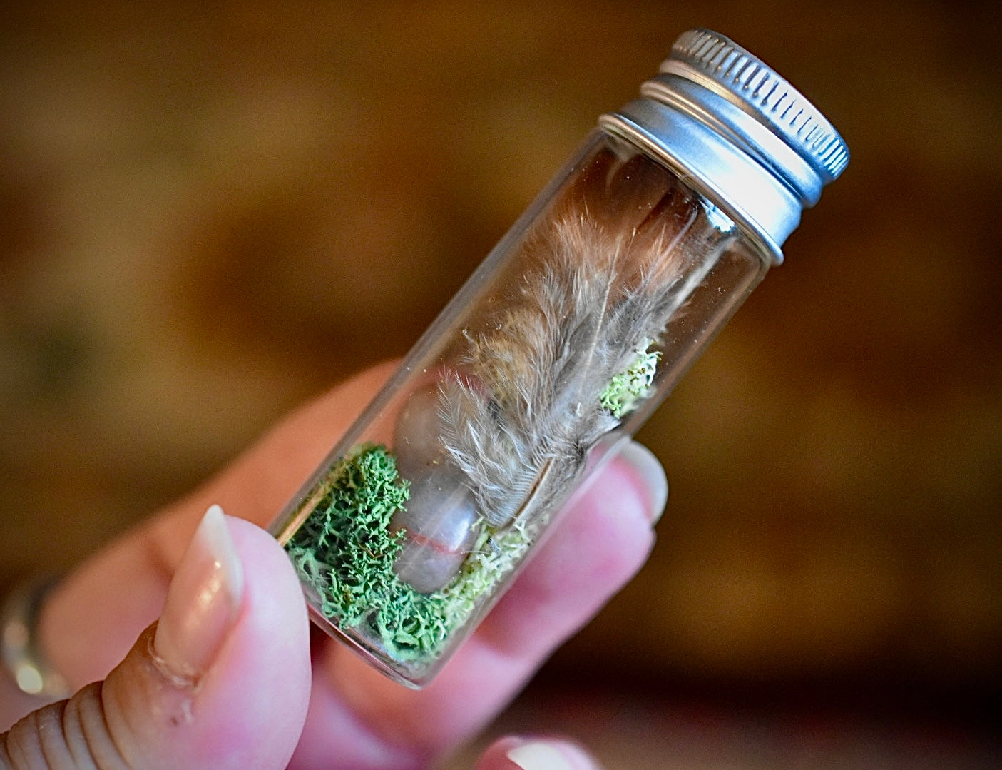 Woodland Treasures Curio