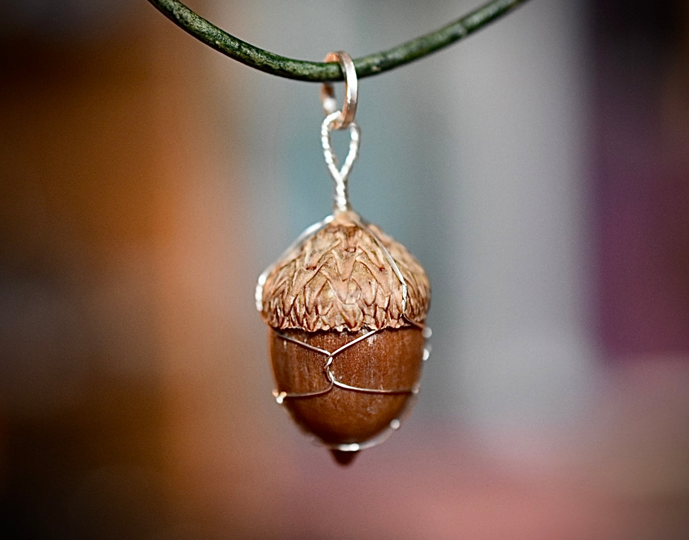 Acorn Talisman for Prosperity