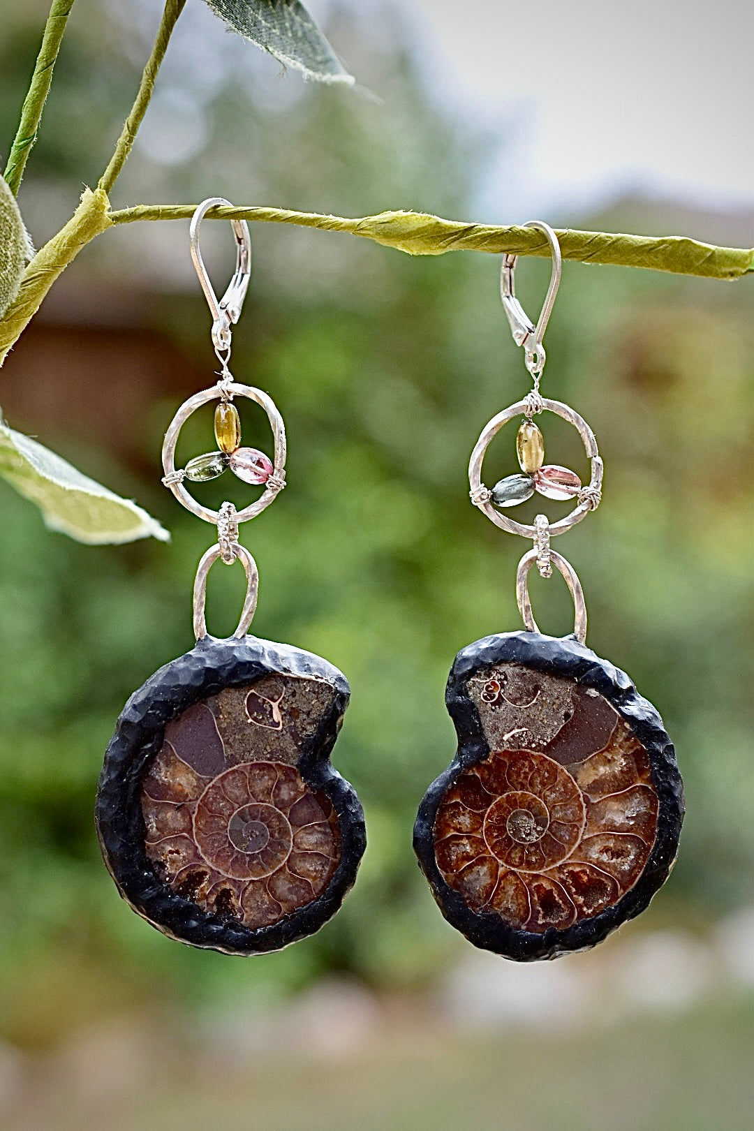 Ammonite & Tourmaline Earrings