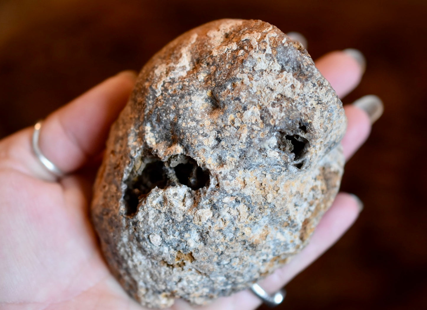 Coyamito Agate Pseudomorph • Rare