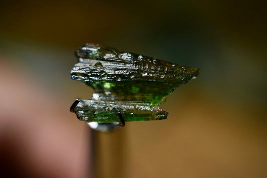 Moldavite • 0.5 to 0.7 Grams