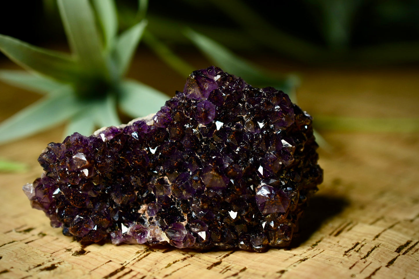 Thunderbay Amethyst