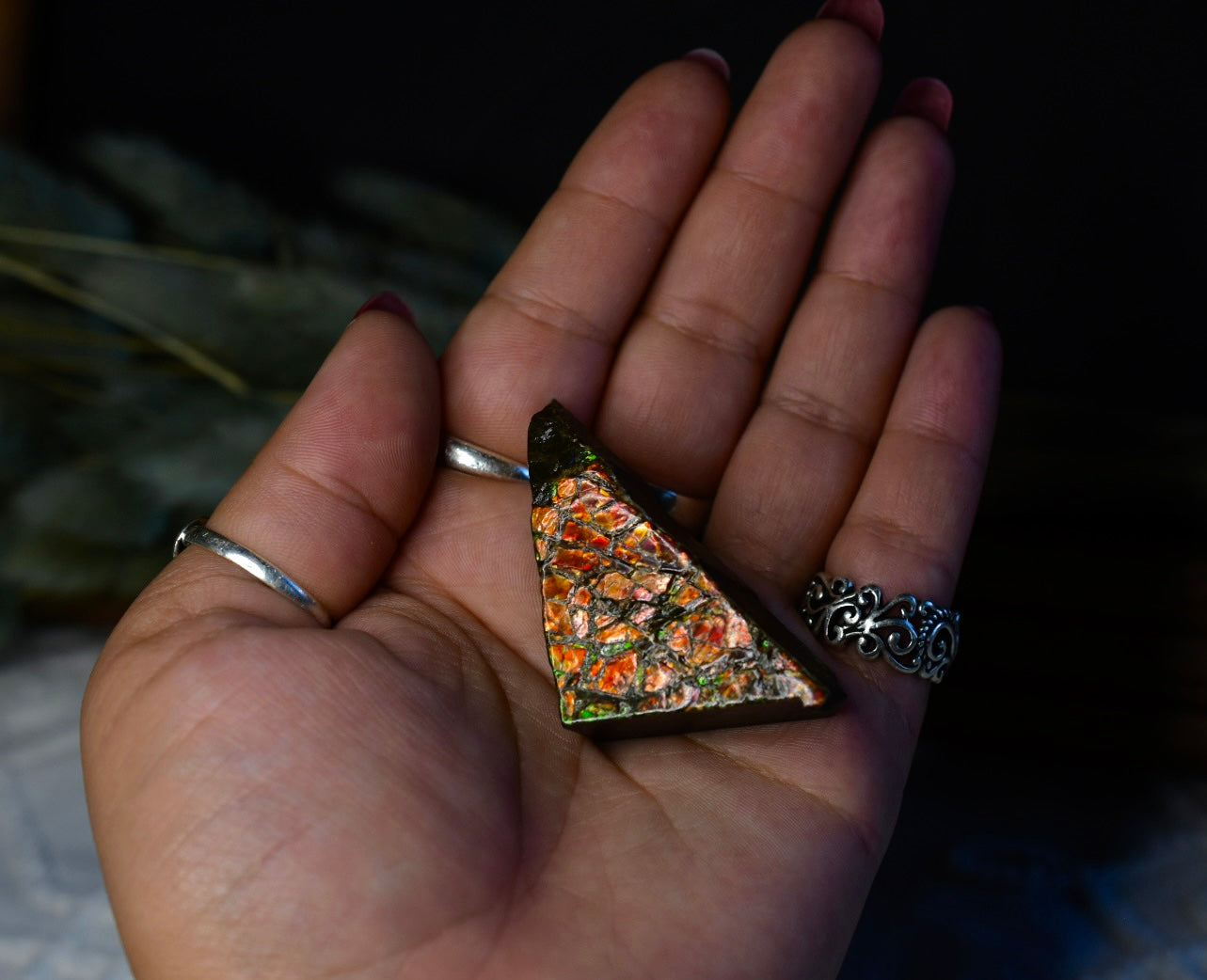 Ammolite Specimen