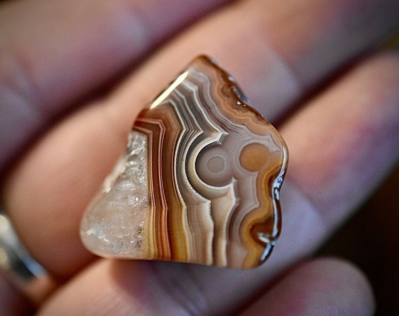 Laguna Agate Tumbles