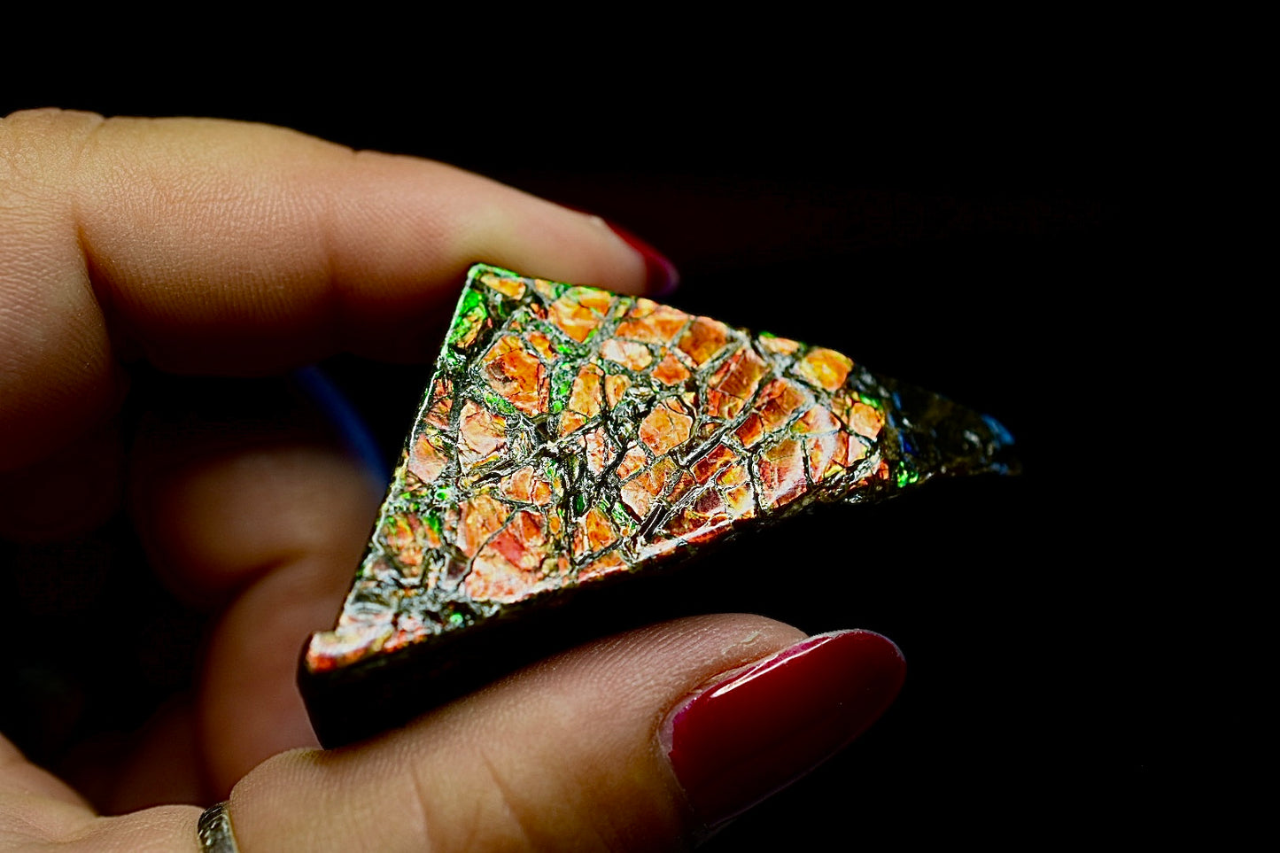 Ammolite Specimen
