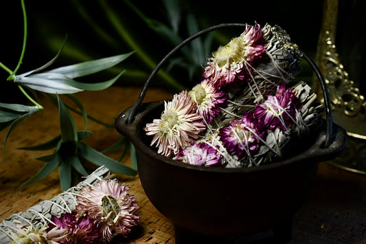 Strawflower Sage