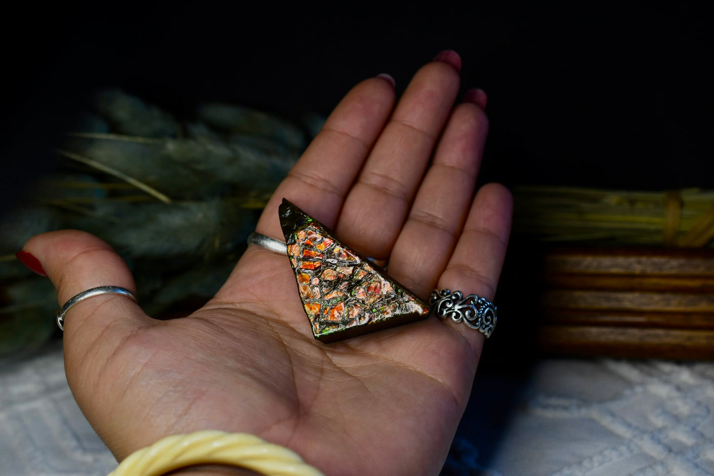 Ammolite Specimen