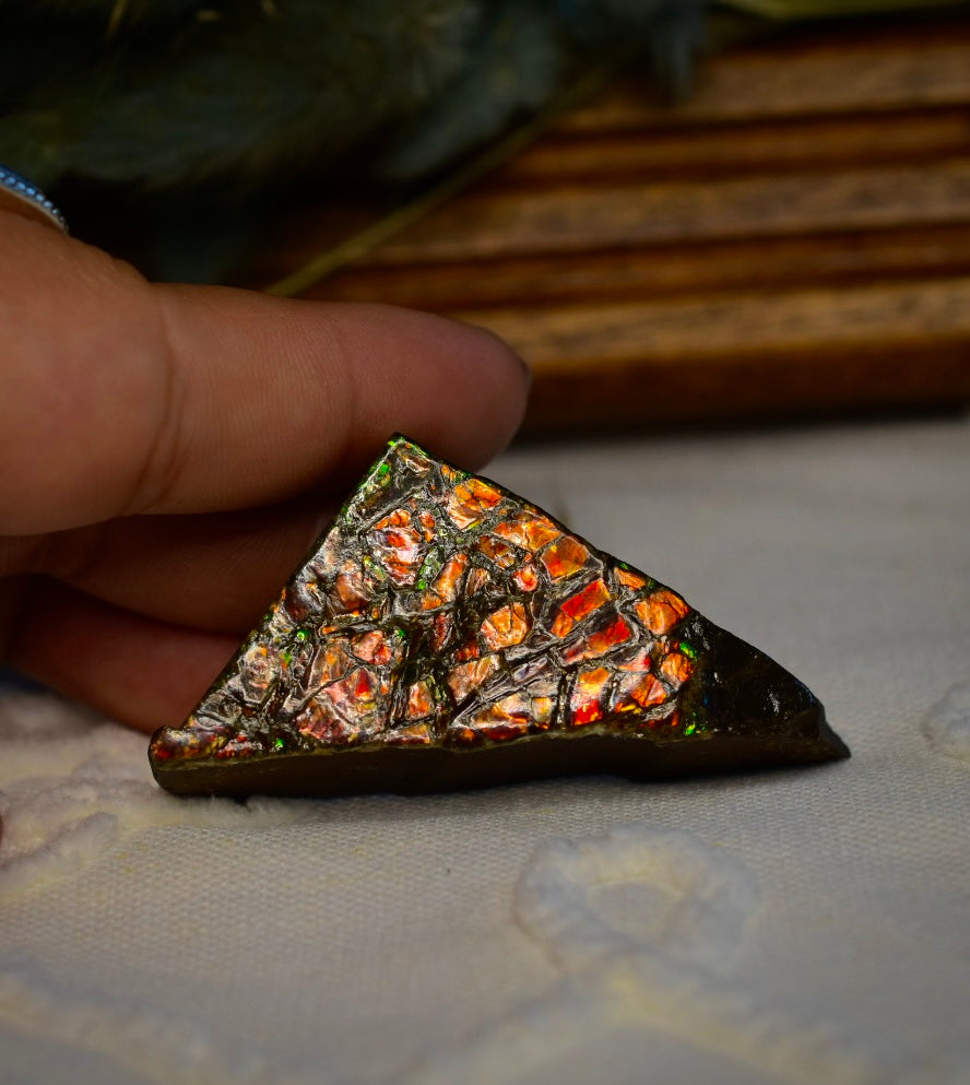 Ammolite Specimen