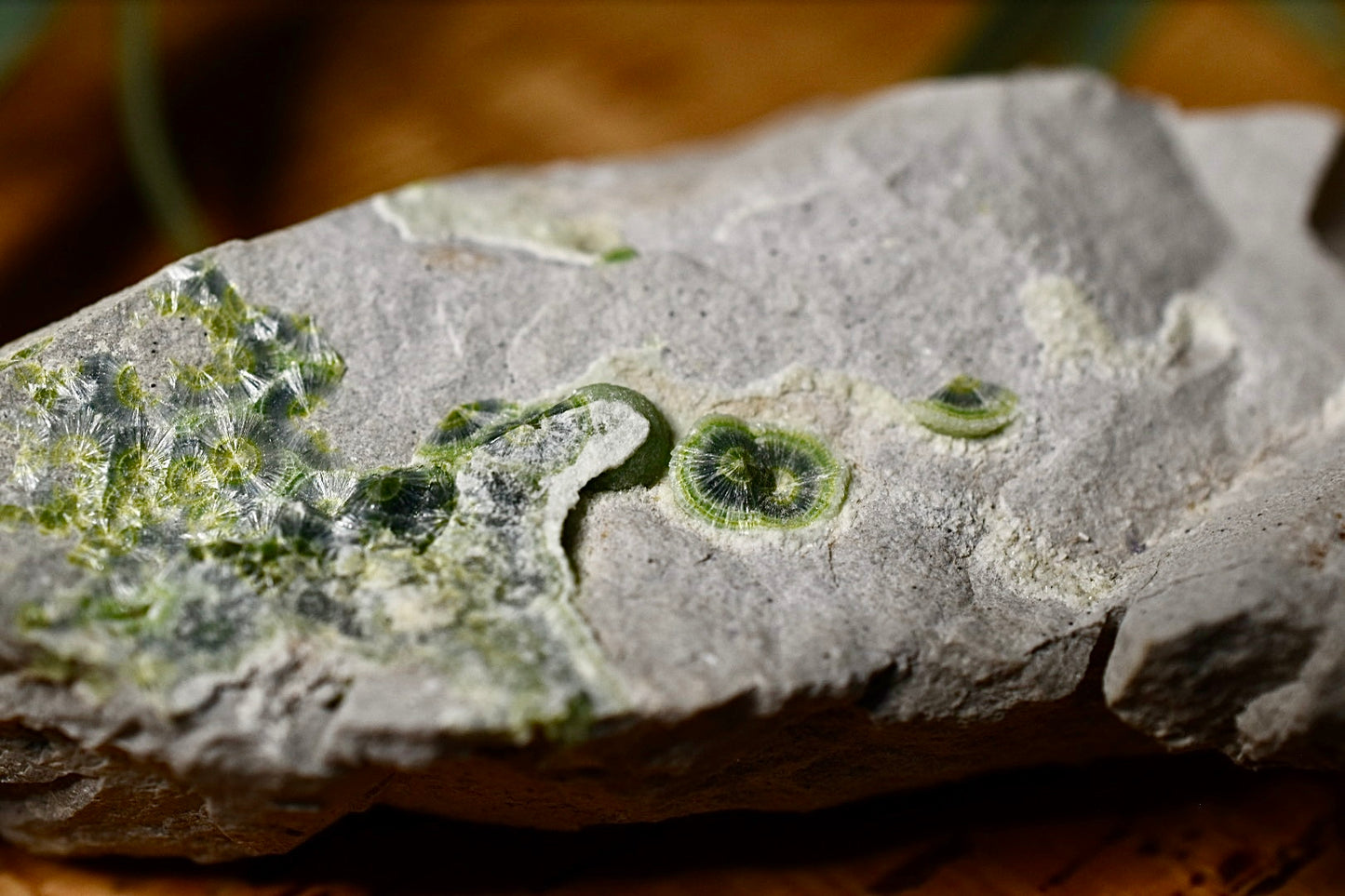 Wavellite Specimen