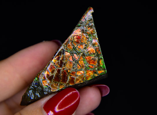 Ammolite Specimen
