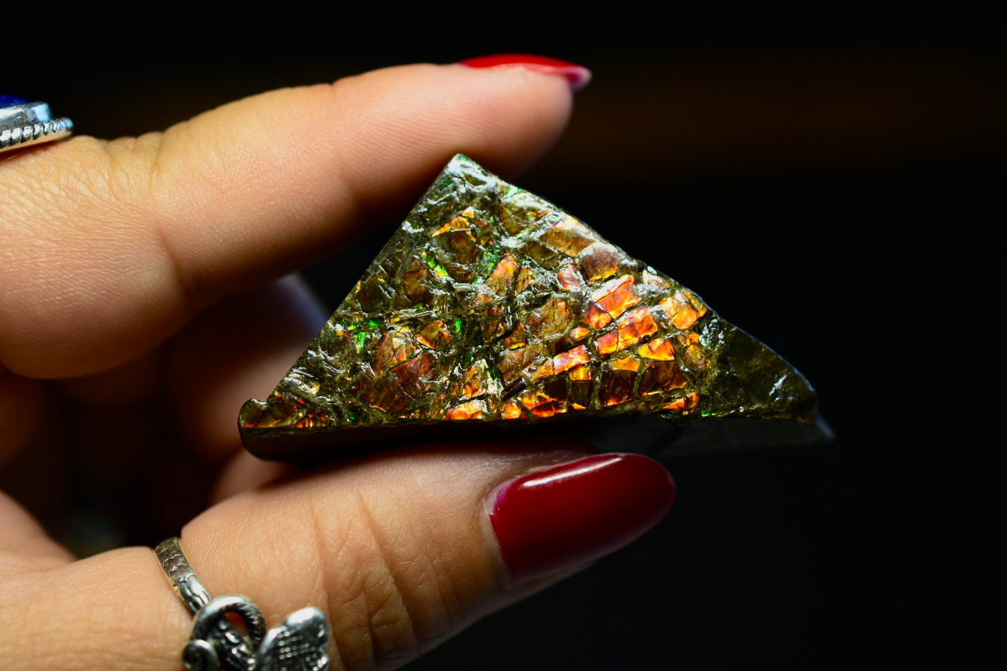 Ammolite Specimen