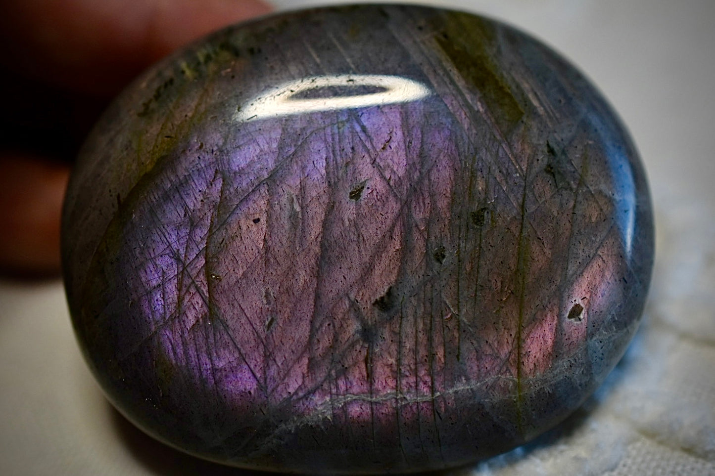 Purple Labradorite • Palm Stone