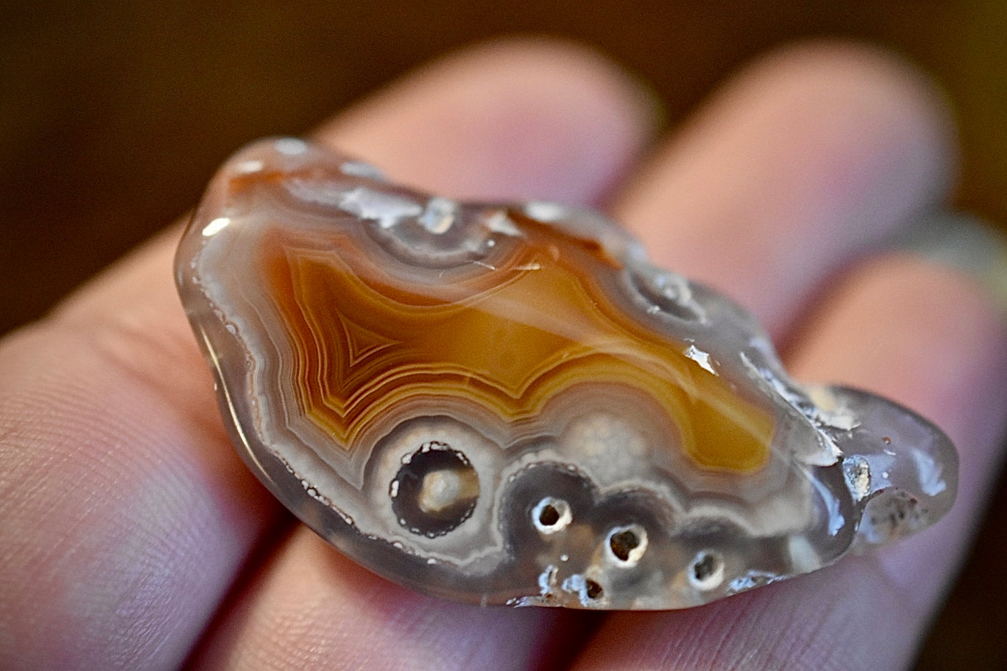 Laguna Agate Tumbles