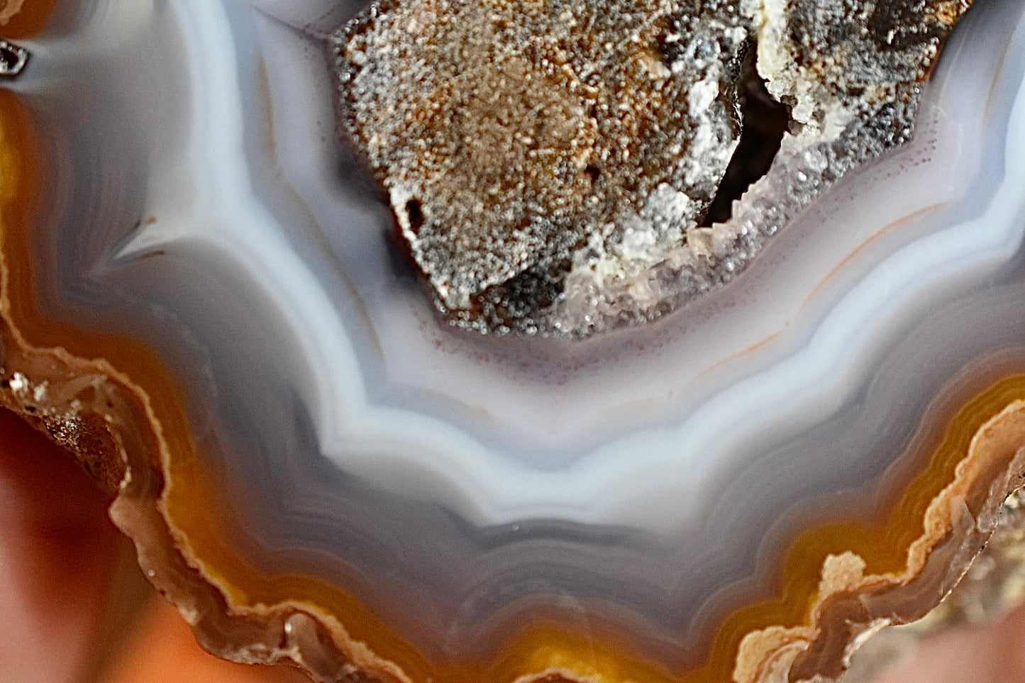 Coyamito Agate