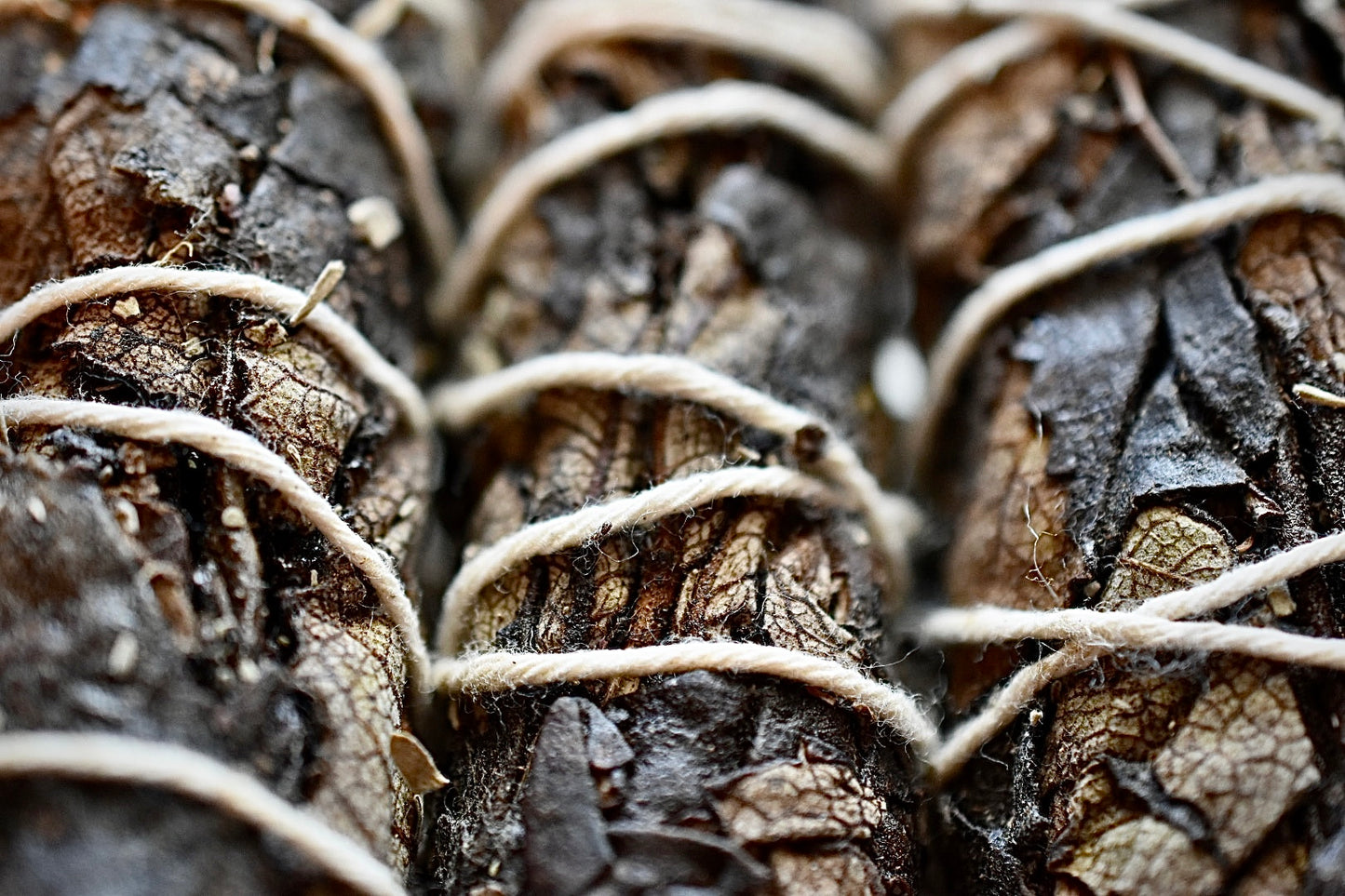 Black Sage Bundle