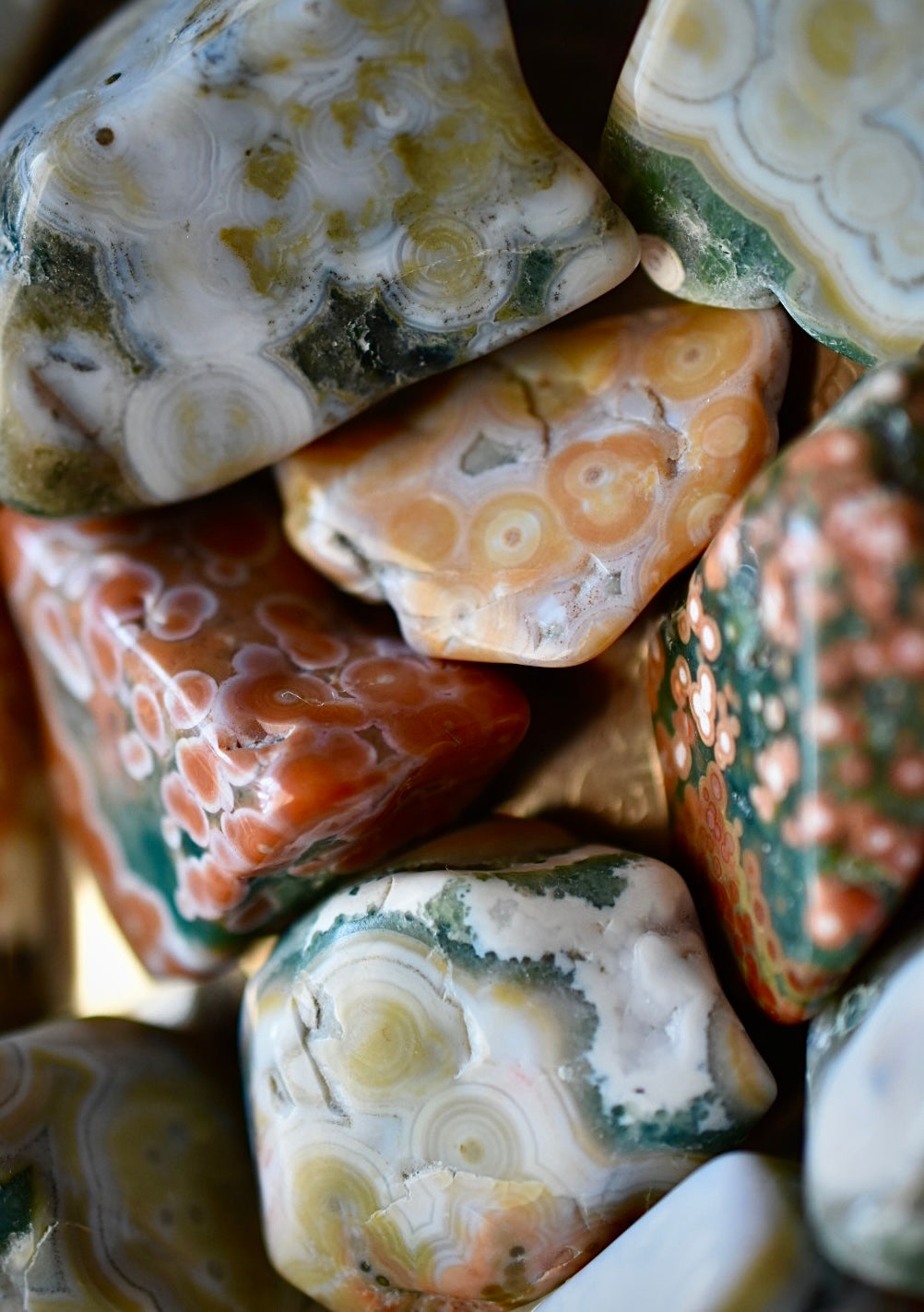 Ocean Jasper • 8th Vein • Limited