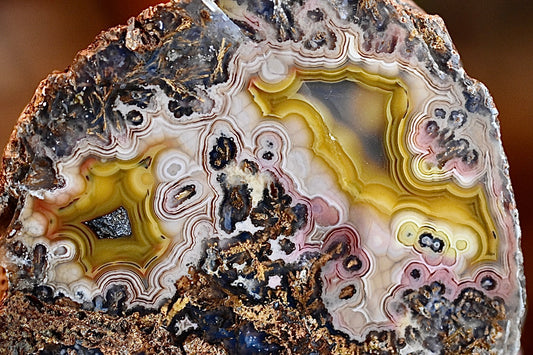 Coyamito Agate Pseudomorph • Rare