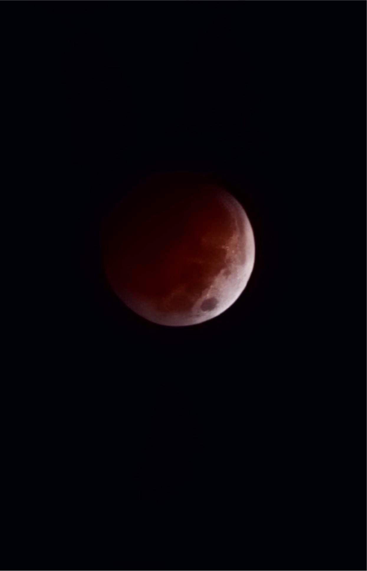 Velvet Moon Perfume • Lunar Eclipse Blend