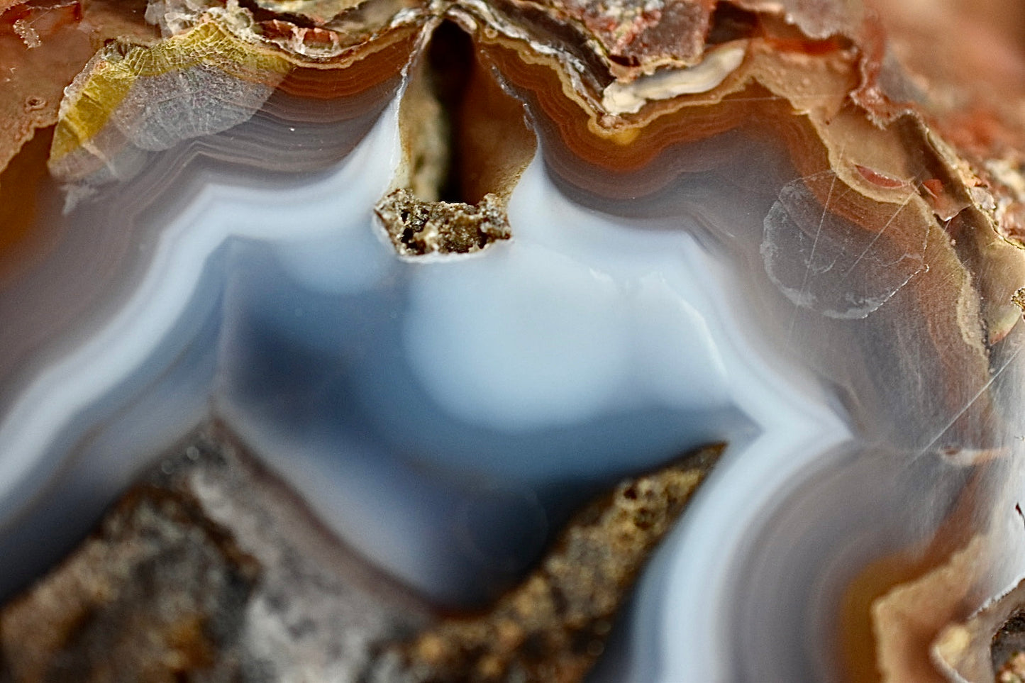 Coyamito Agate