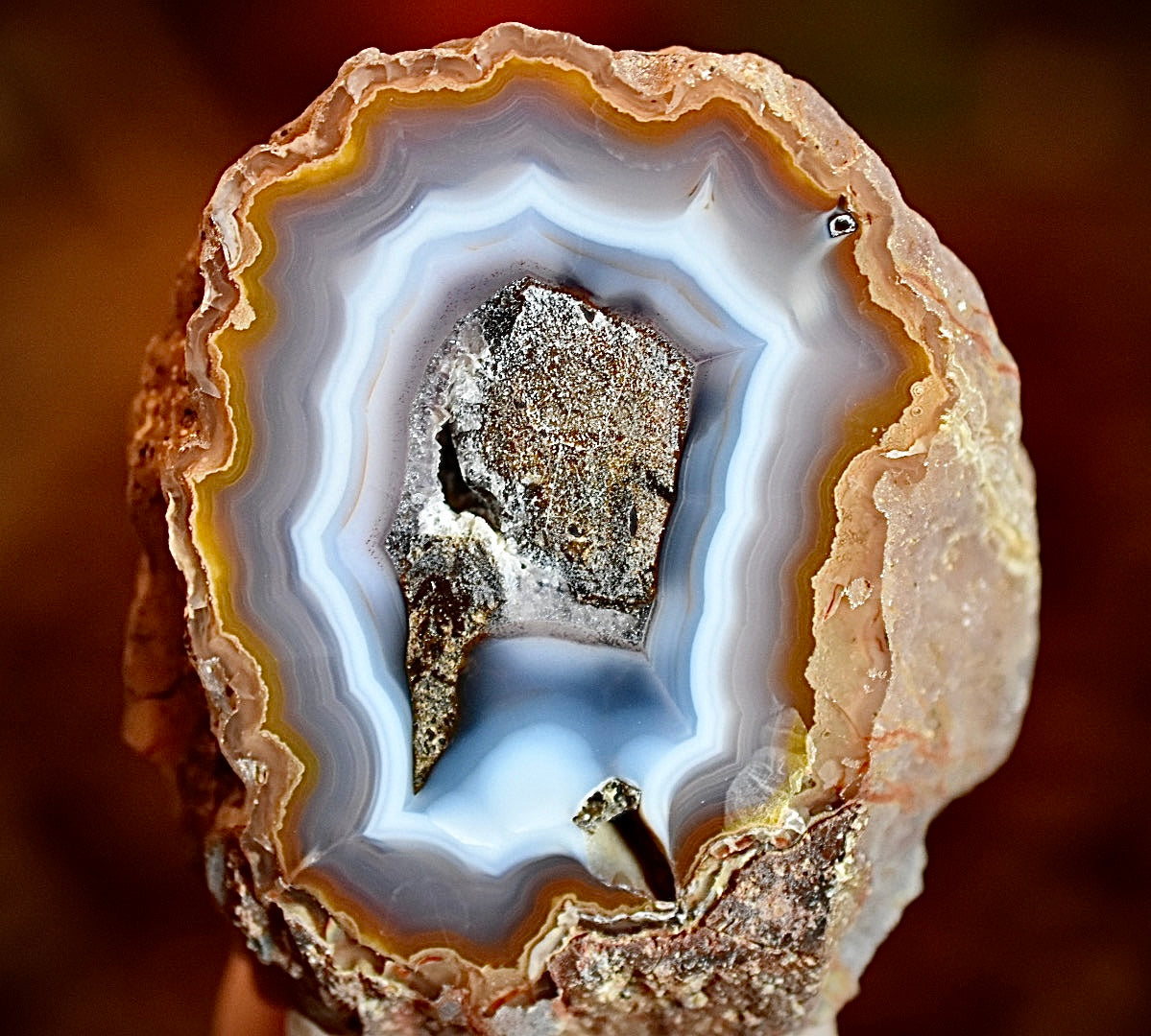 Coyamito Agate