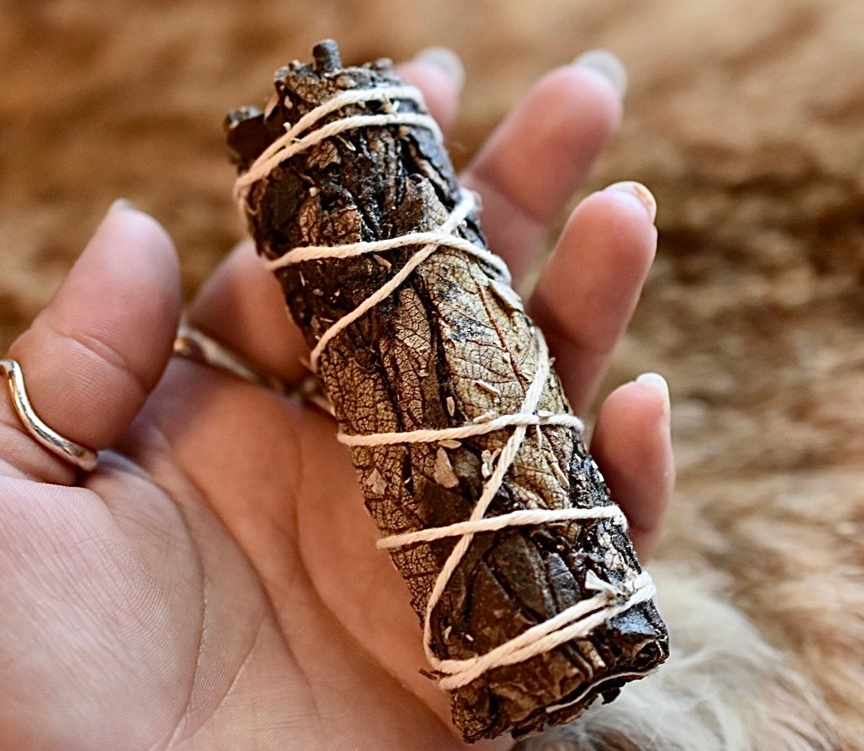 Black Sage Bundle